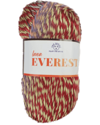 EVEREST brique 100g